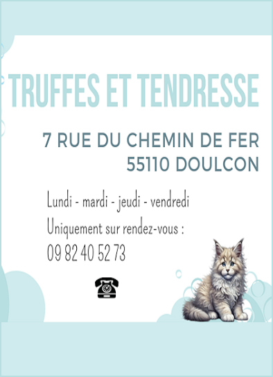 "Truffes et tendresse", toilettage pour chien et chats à Doulcon